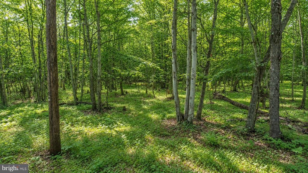 49.08 Acres MARYLAND HIGHWAY