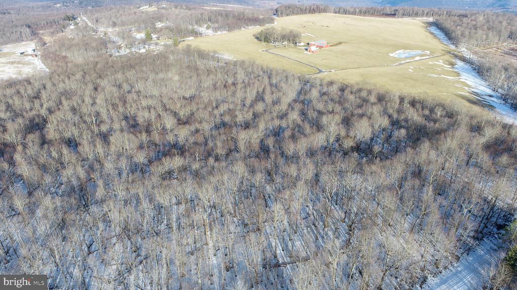 49.08 Acres MARYLAND HIGHWAY