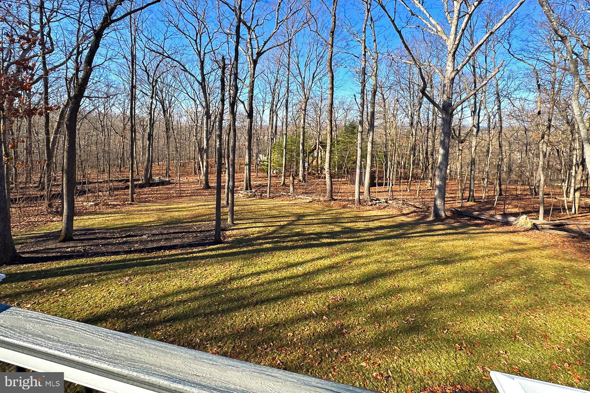 77 Balsam Ln