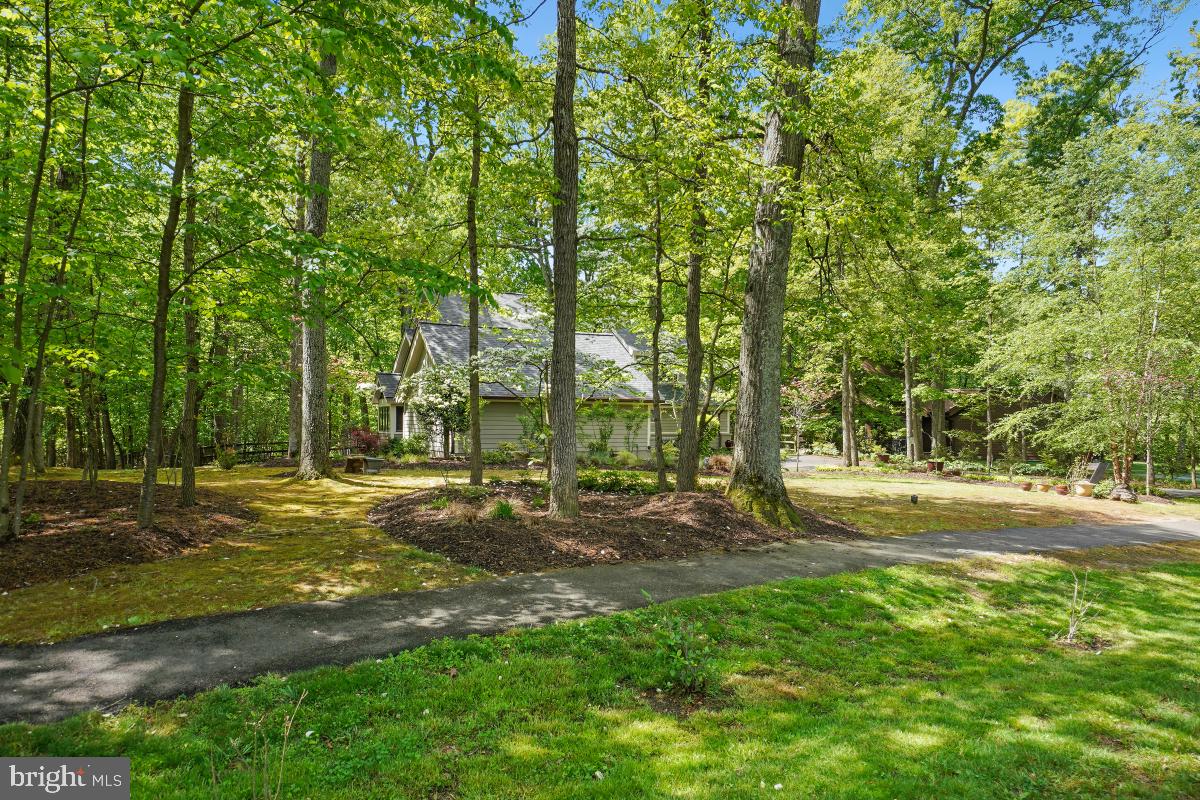 11919 Triple Crown Rd