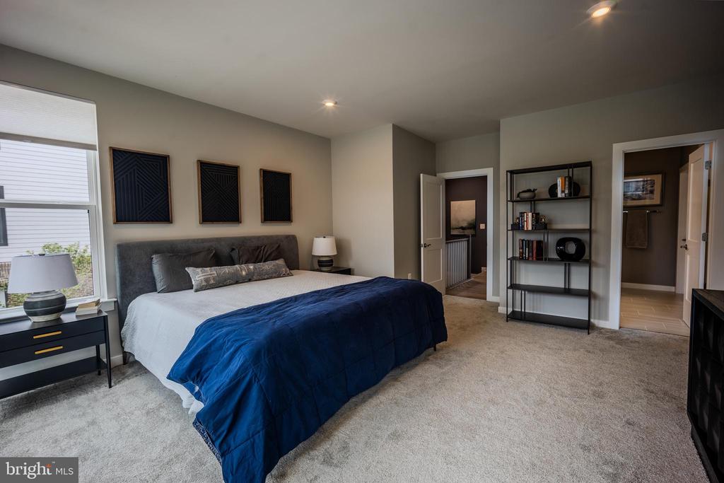 44517 Wolfhound Sq