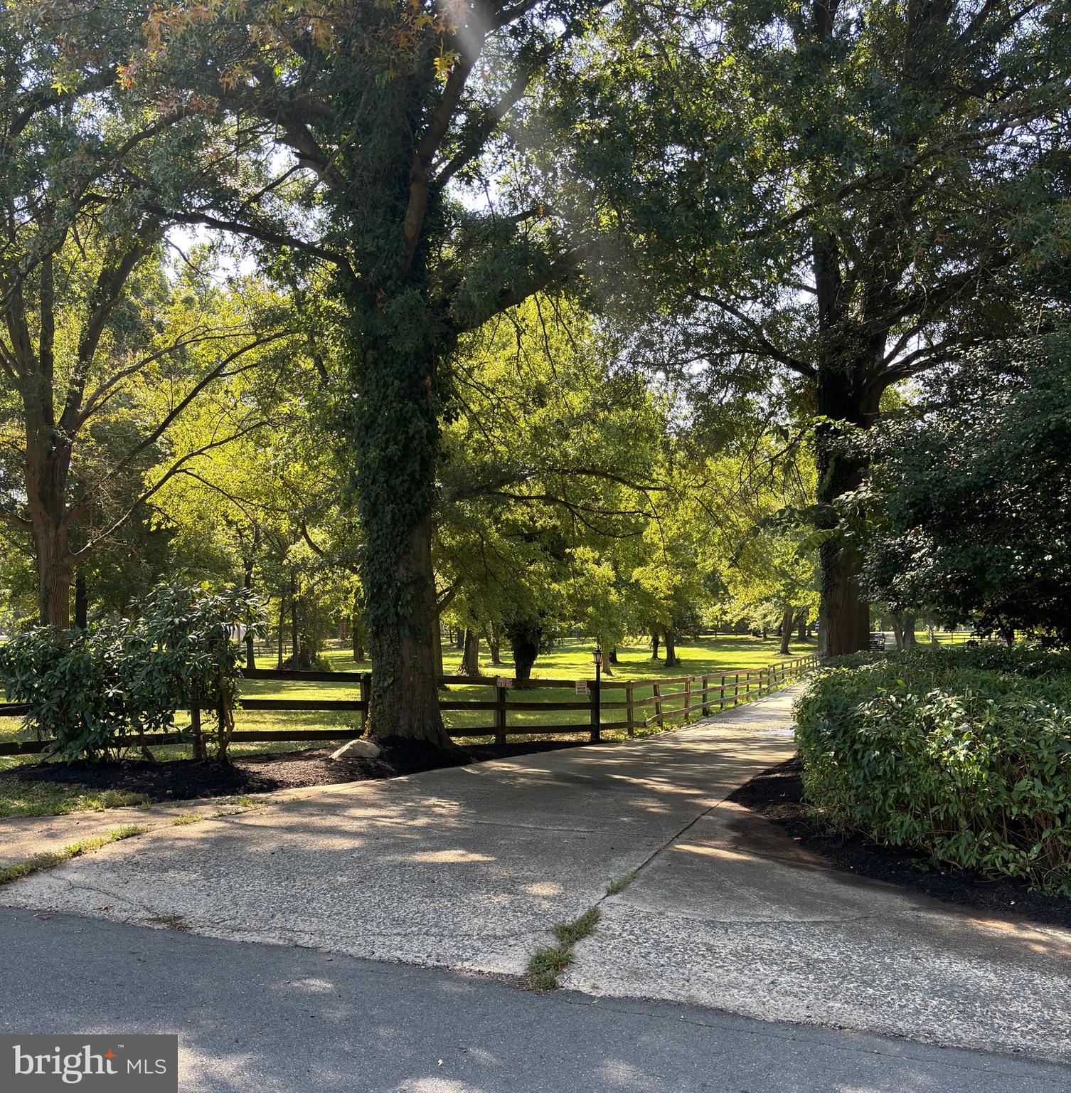 19276 Youngs Cliff Rd