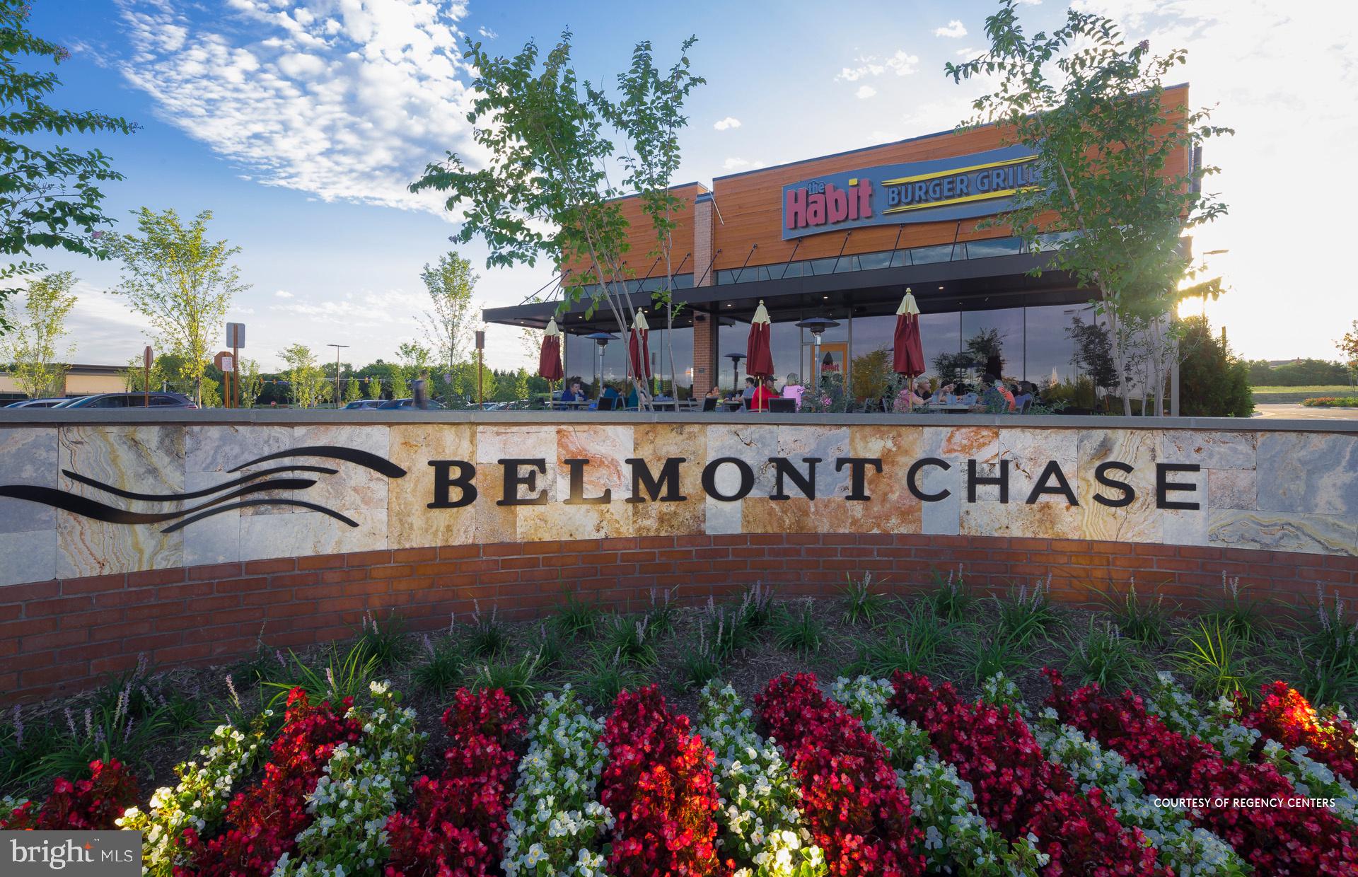 19854 Lavender Dust Sq