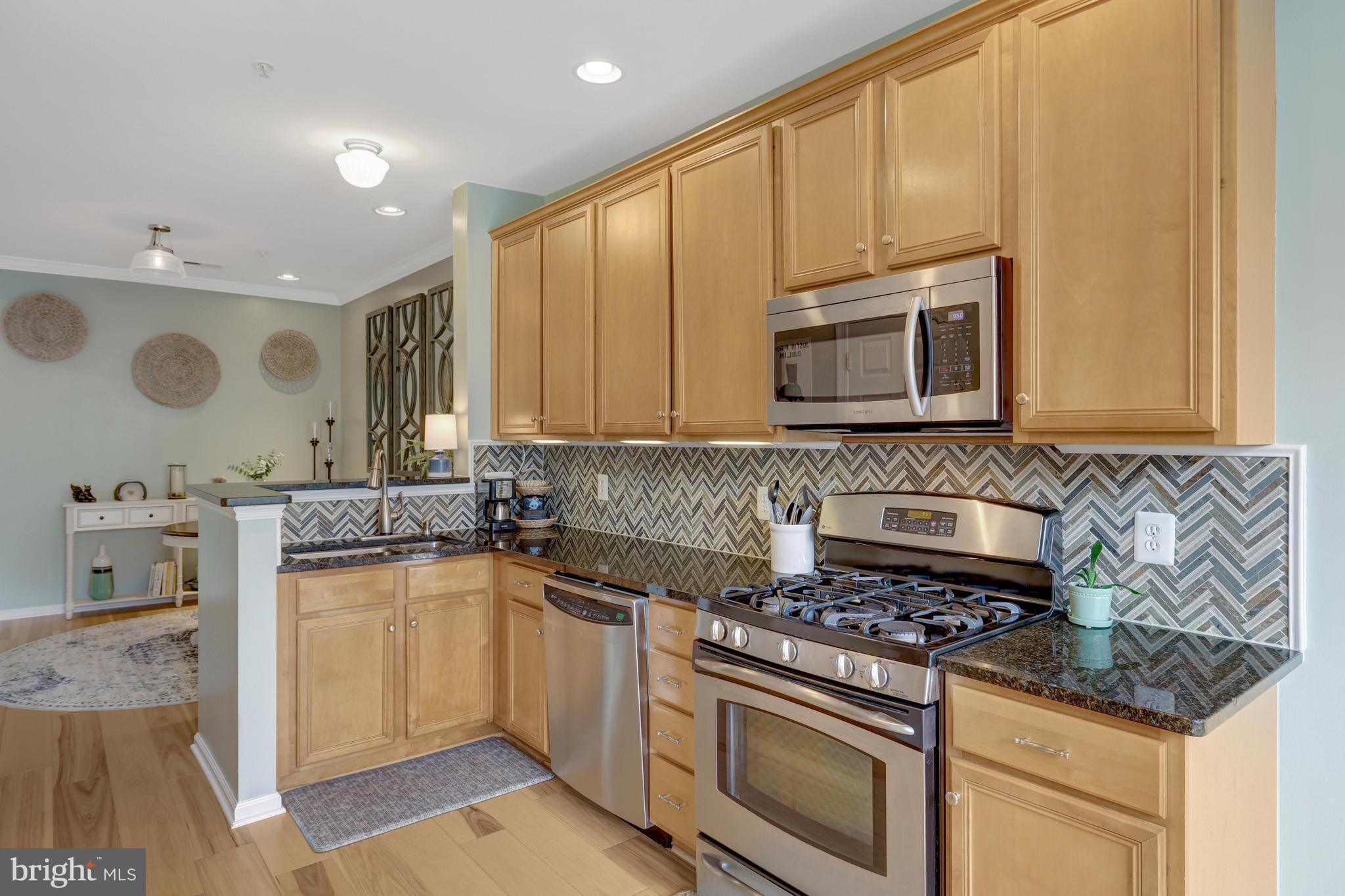 20385 Belmont Park Ter #102