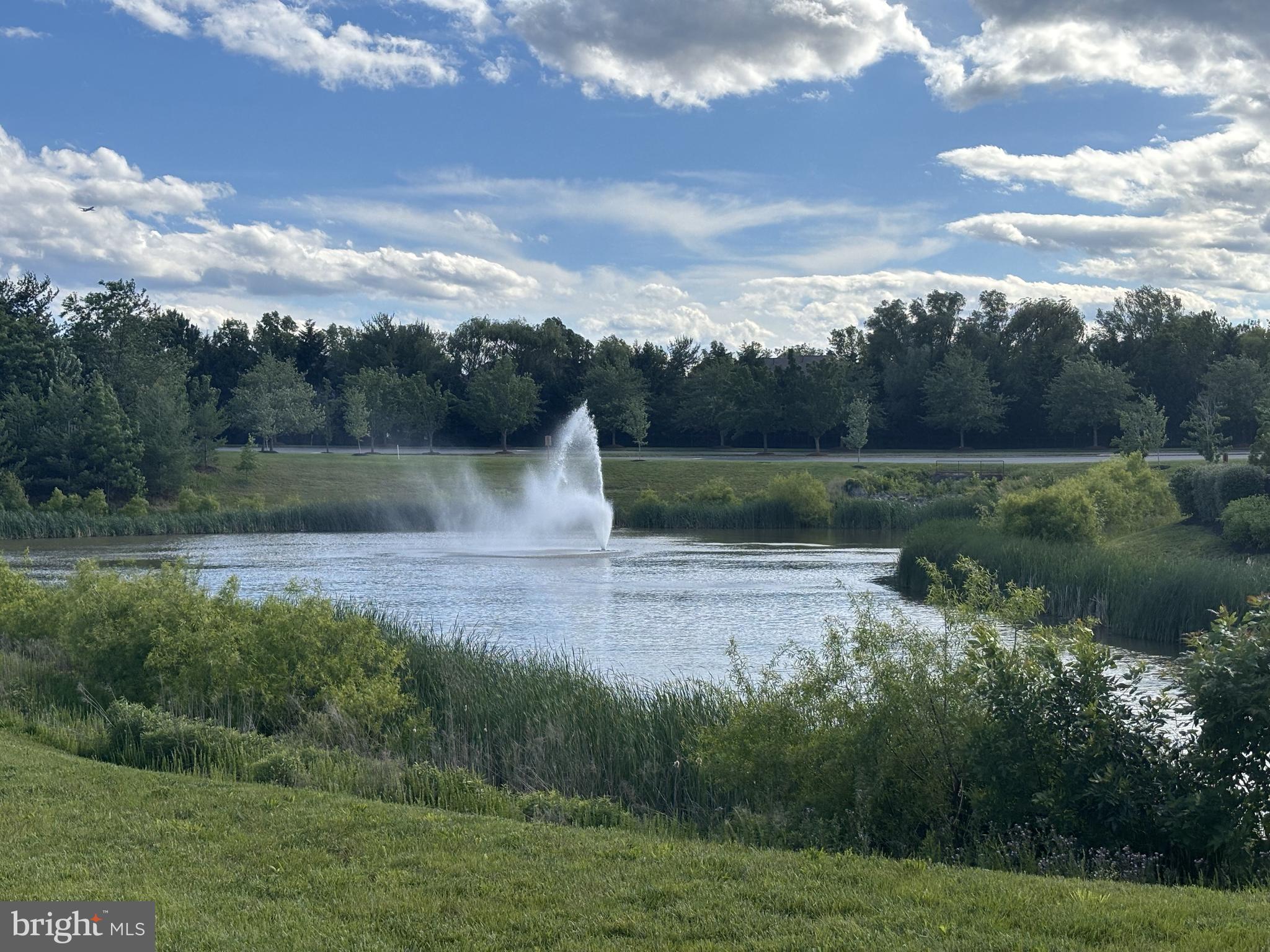 20385 Belmont Park Ter #102