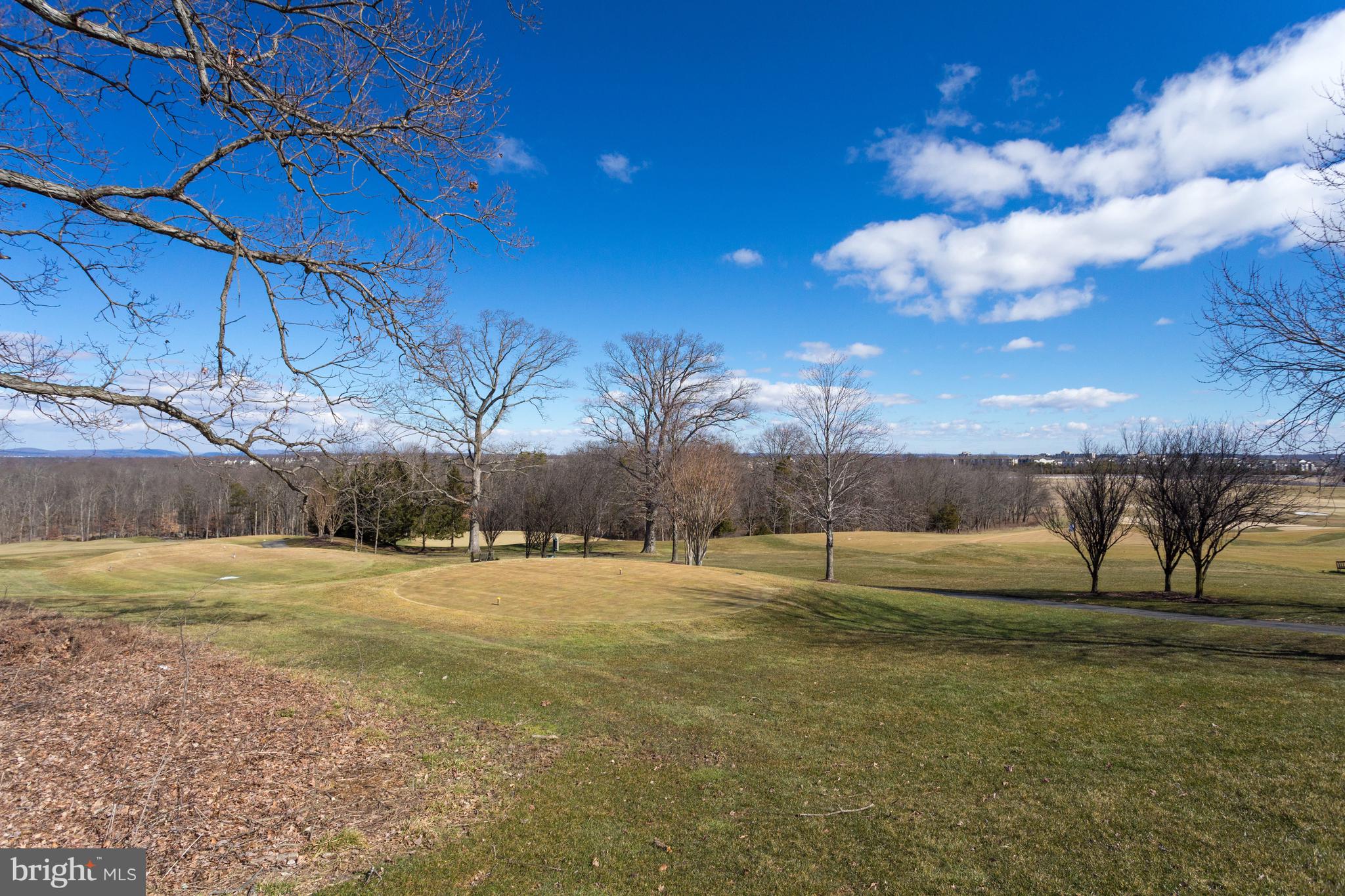 20385 Belmont Park Ter #102