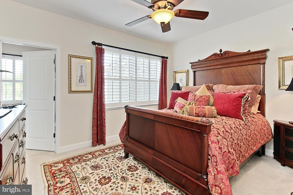 44251 Silverpalm Grove Ter