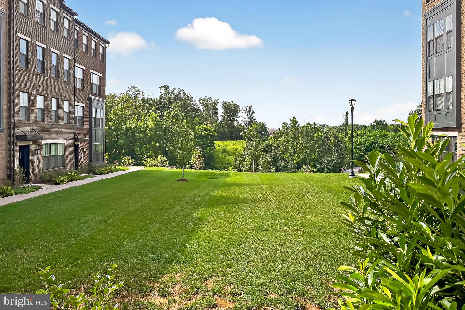 43389 RADFORD DIVIDE TER