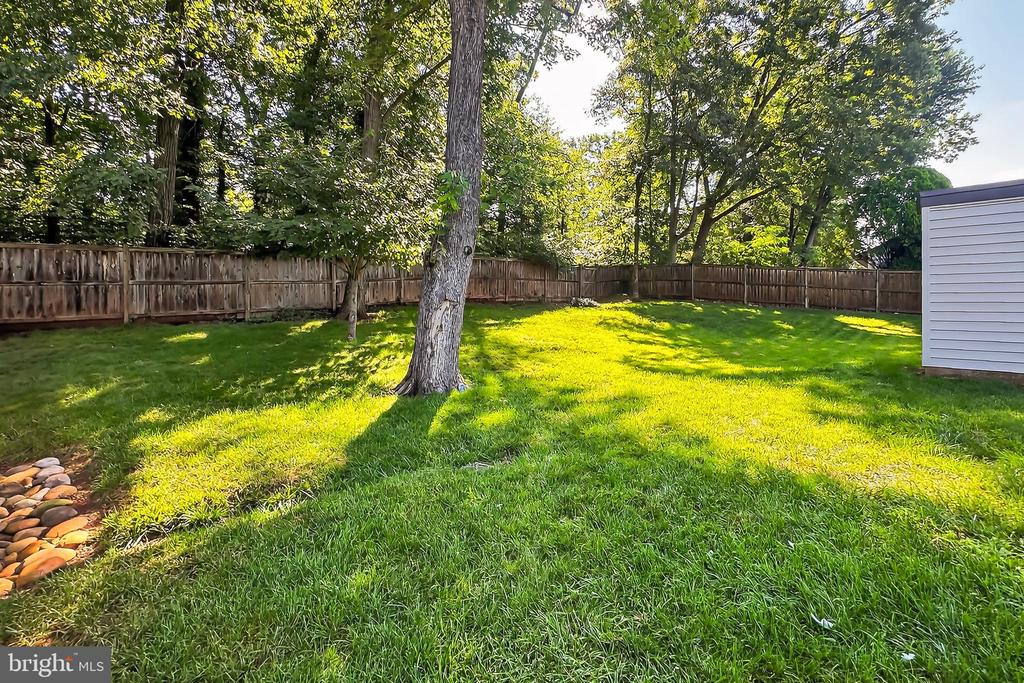 223 W Meadowland Ln