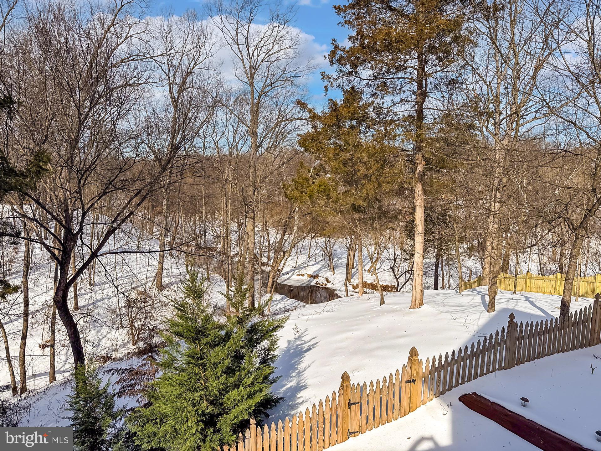 21027 FOREST HIGHLANDS COURT