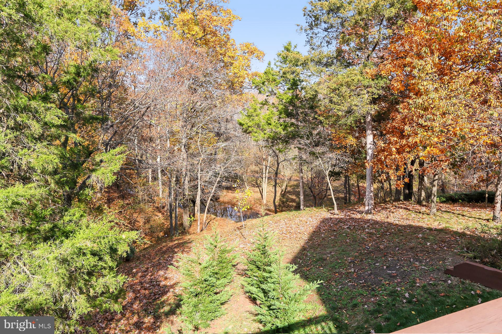 21027 FOREST HIGHLANDS COURT