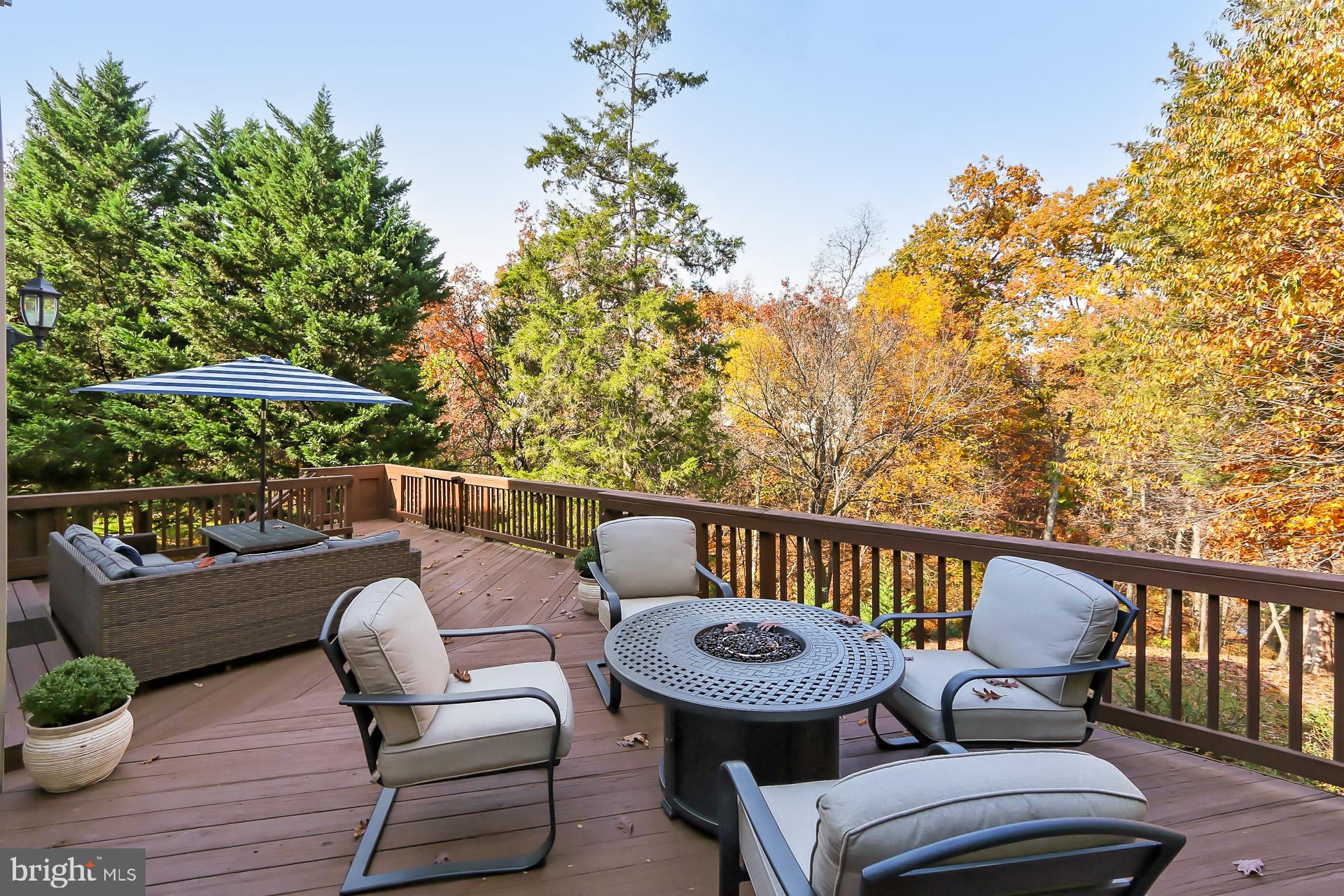 21027 FOREST HIGHLANDS COURT