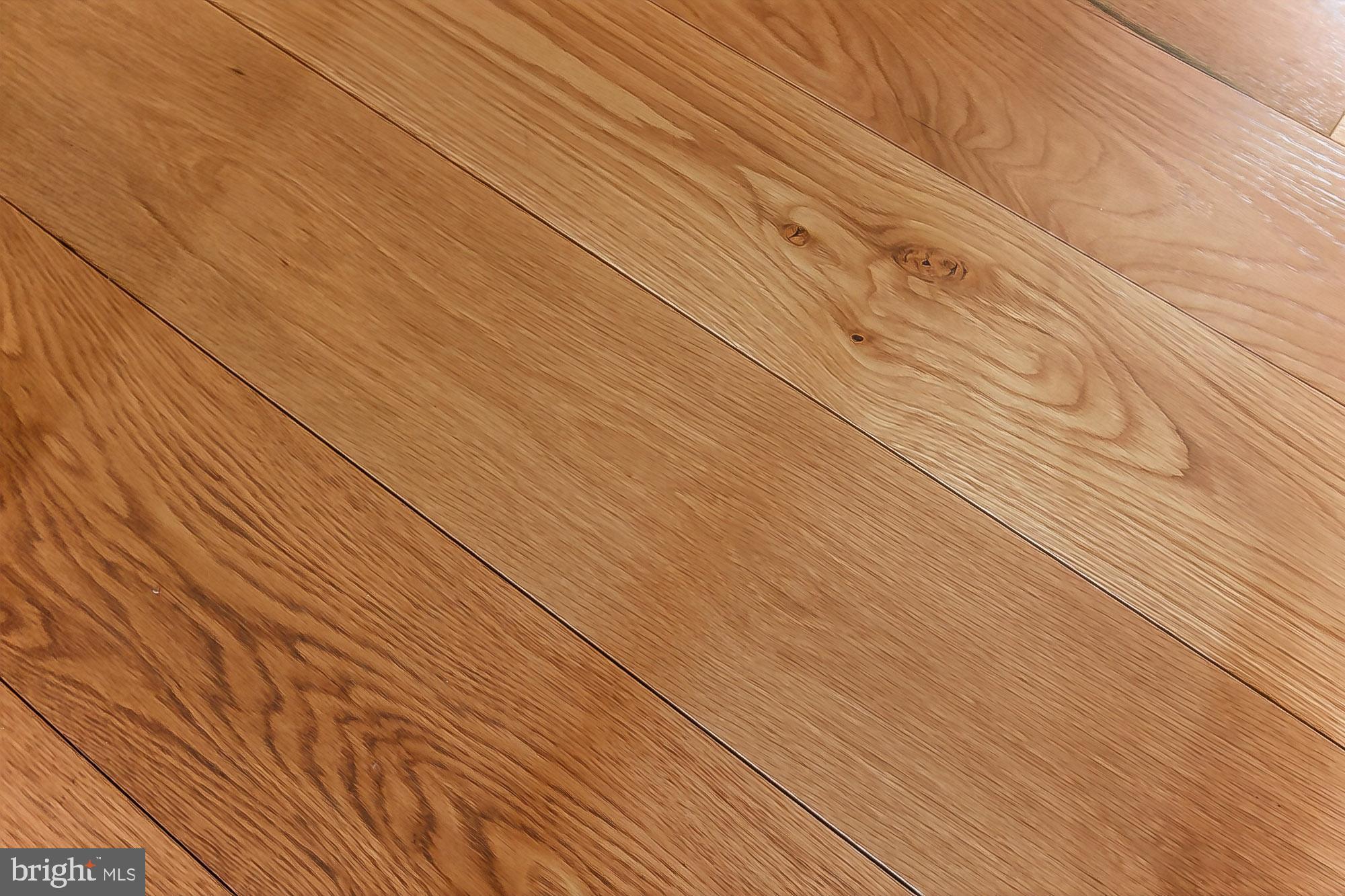 20461 SWAN CREEK COURT