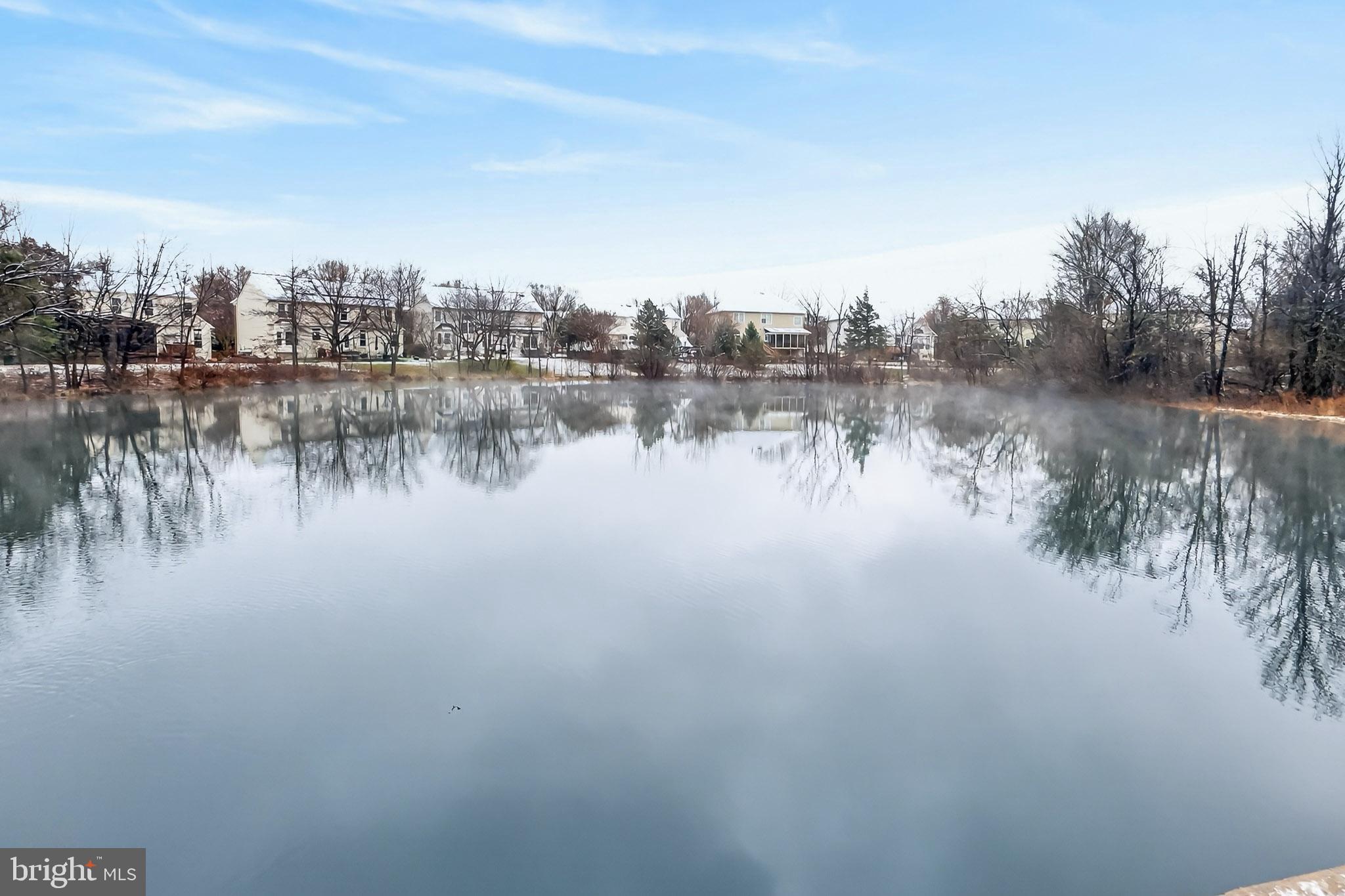 21321 SMALL BRANCH PLACE