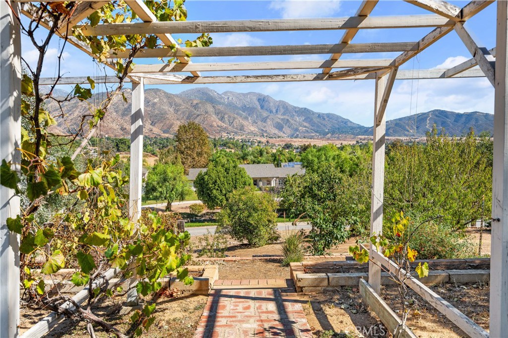 10320 Country Lane