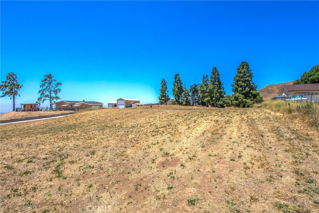 8767 Peach Summit Drive