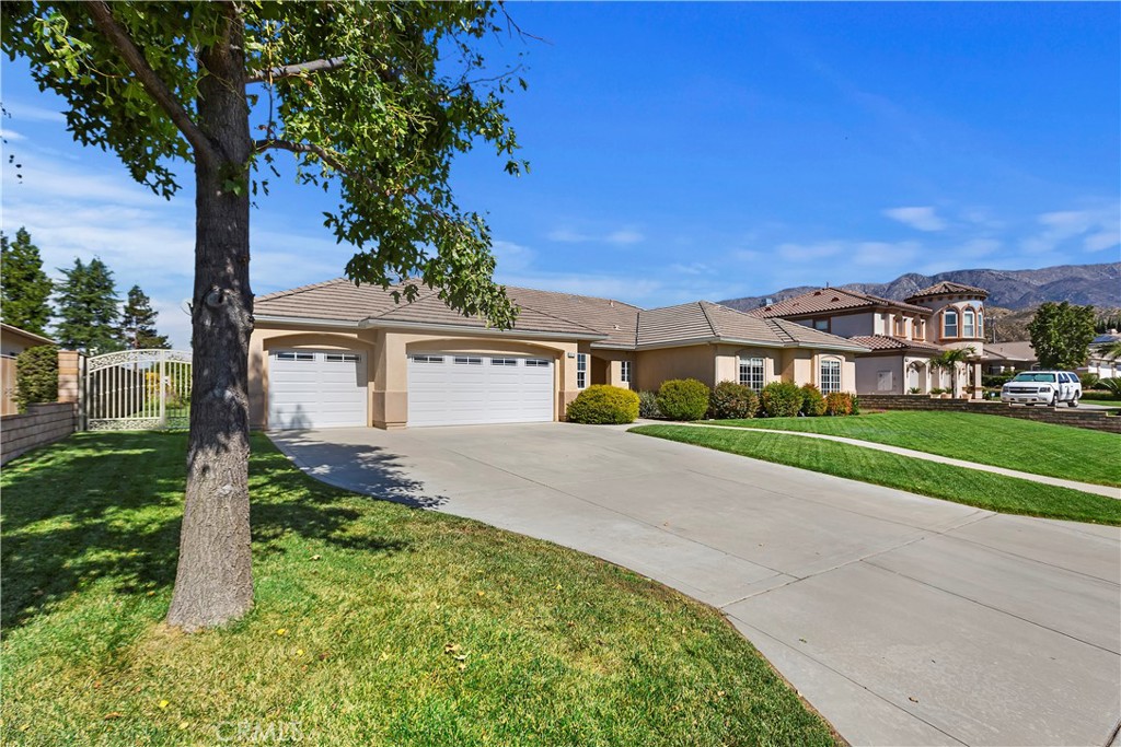 38228 Wild Poppy Lane