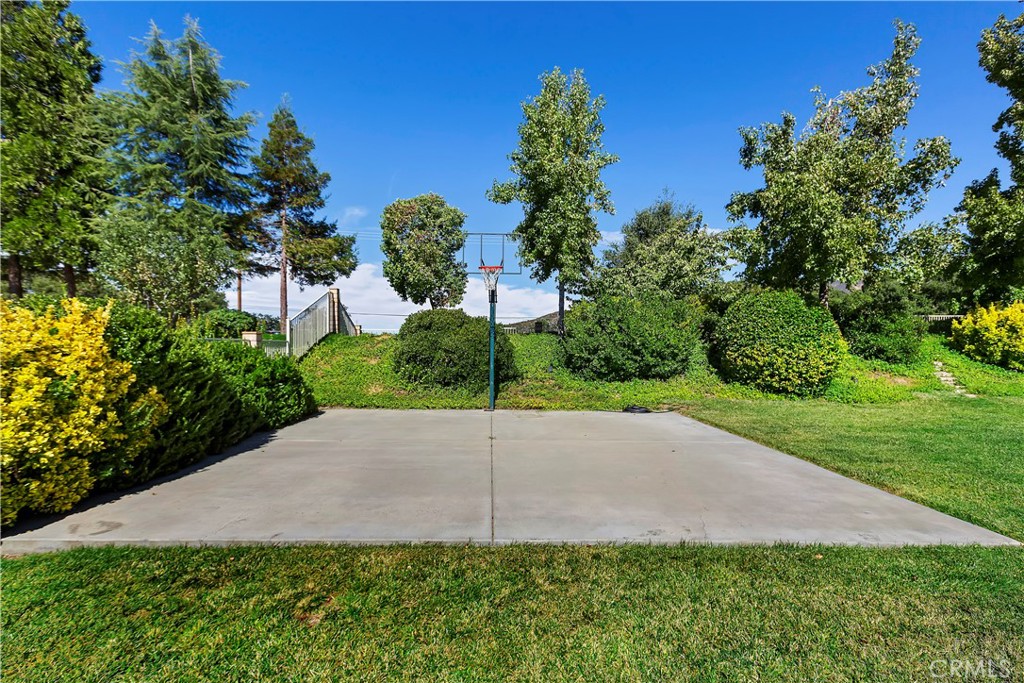 38228 Wild Poppy Lane