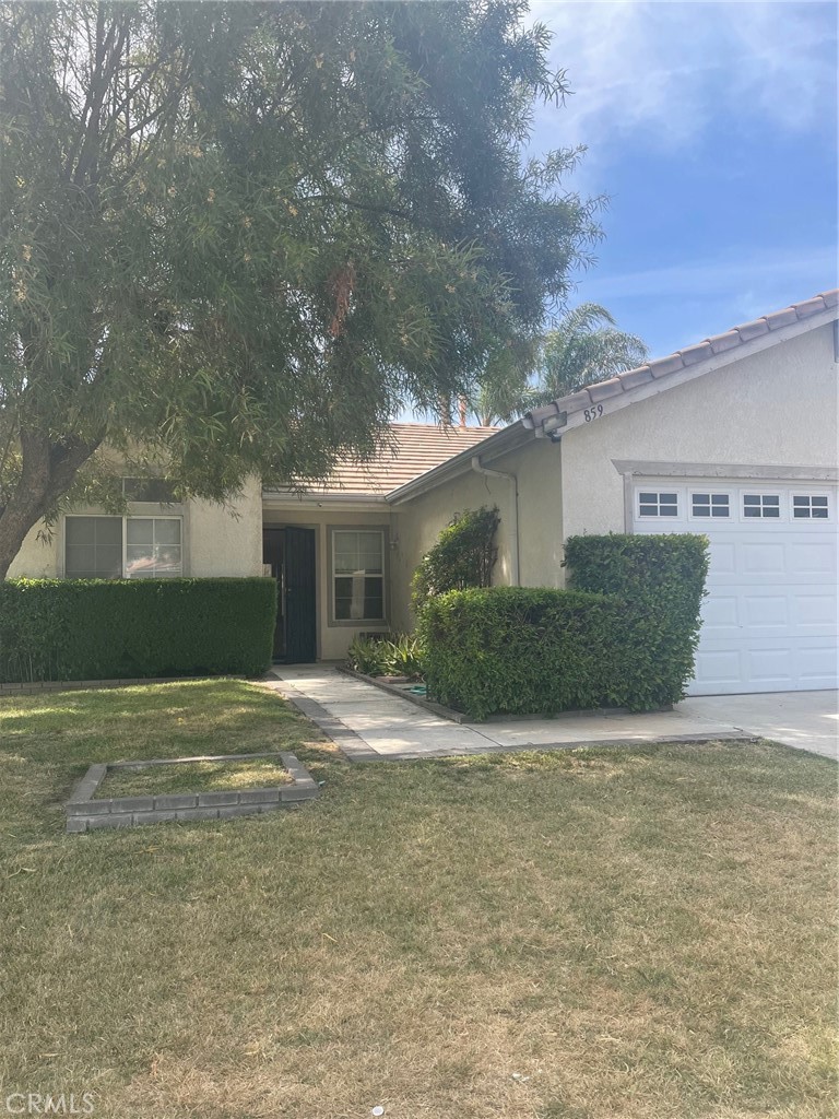 859 Lexington Street