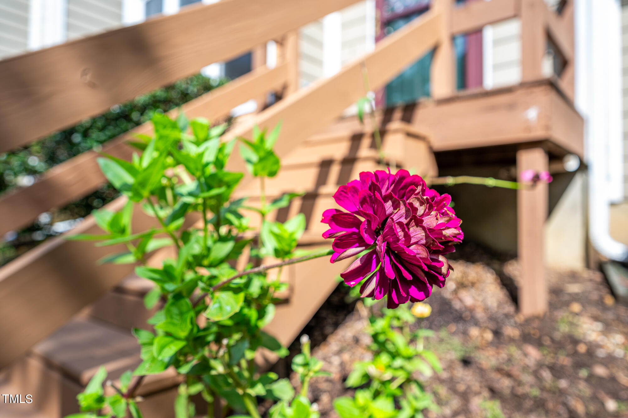 101 Thomas Lane # 3 Unit: C-3