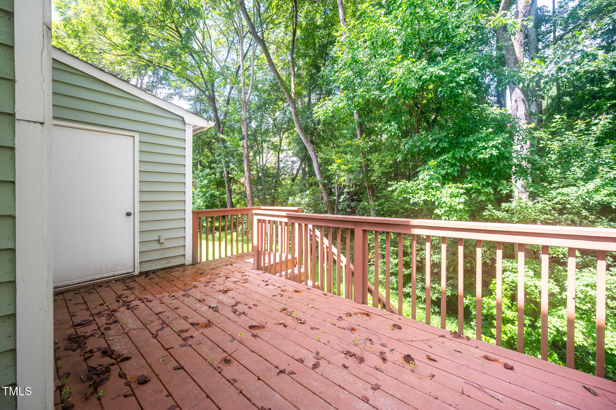 121 Long Shadow Place