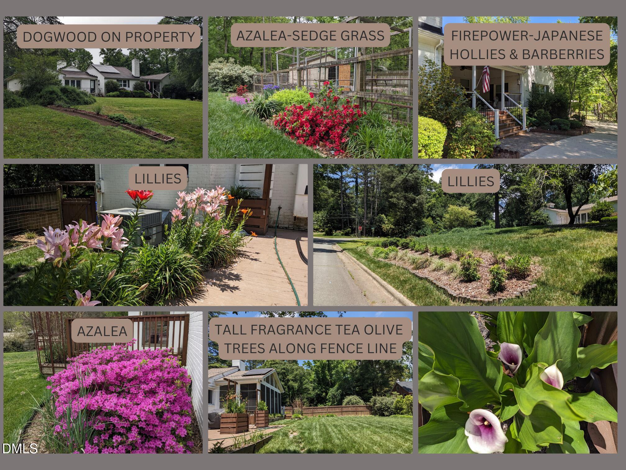 120 Meadowbrook Drive