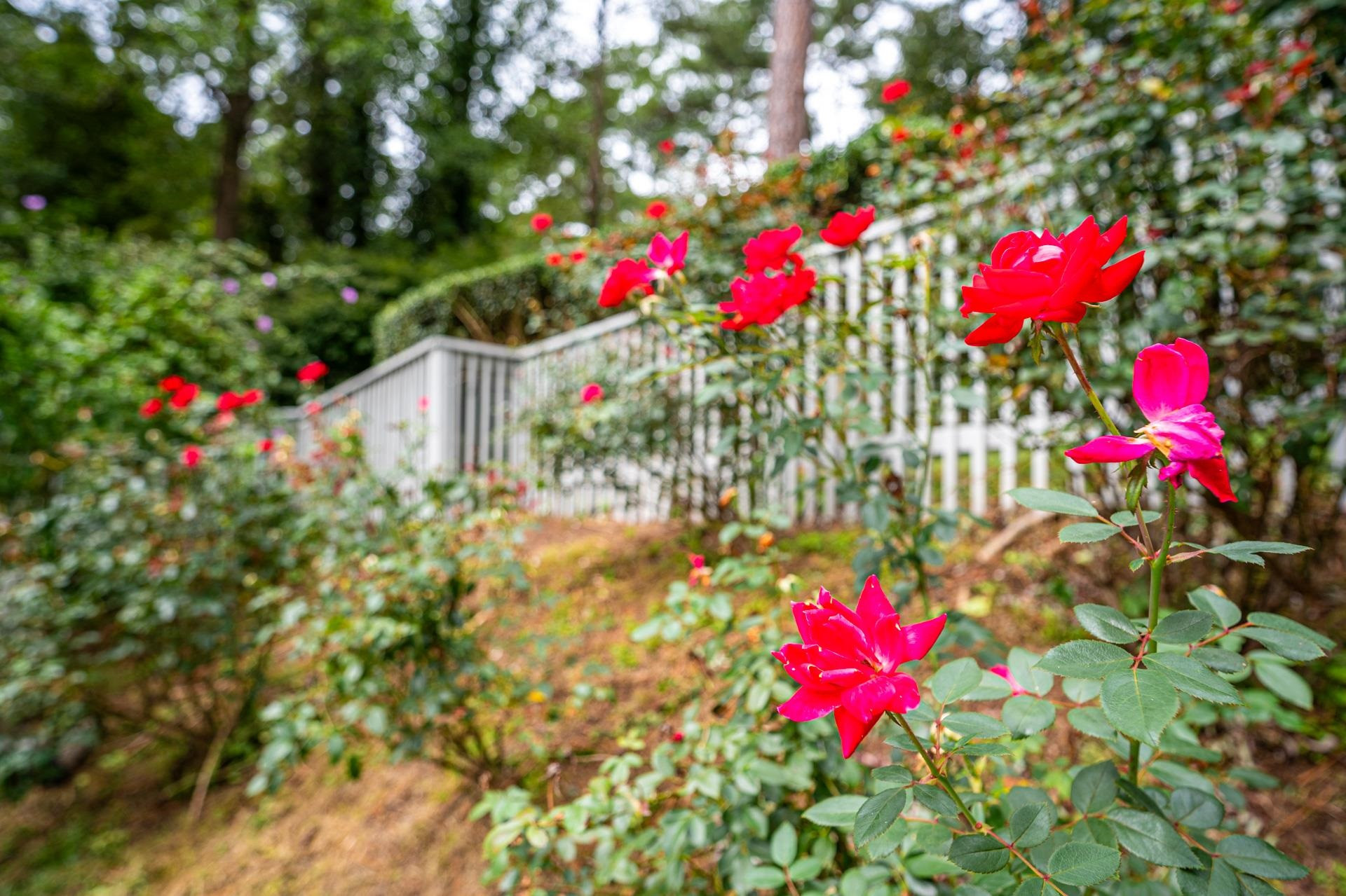 608 Morgan Creek Road