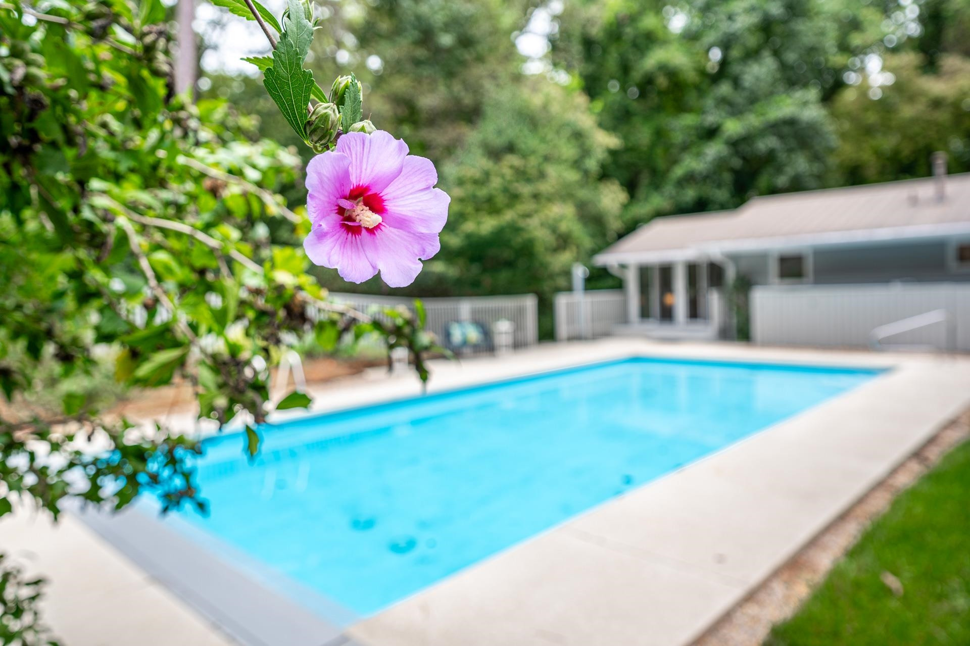 608 Morgan Creek Road