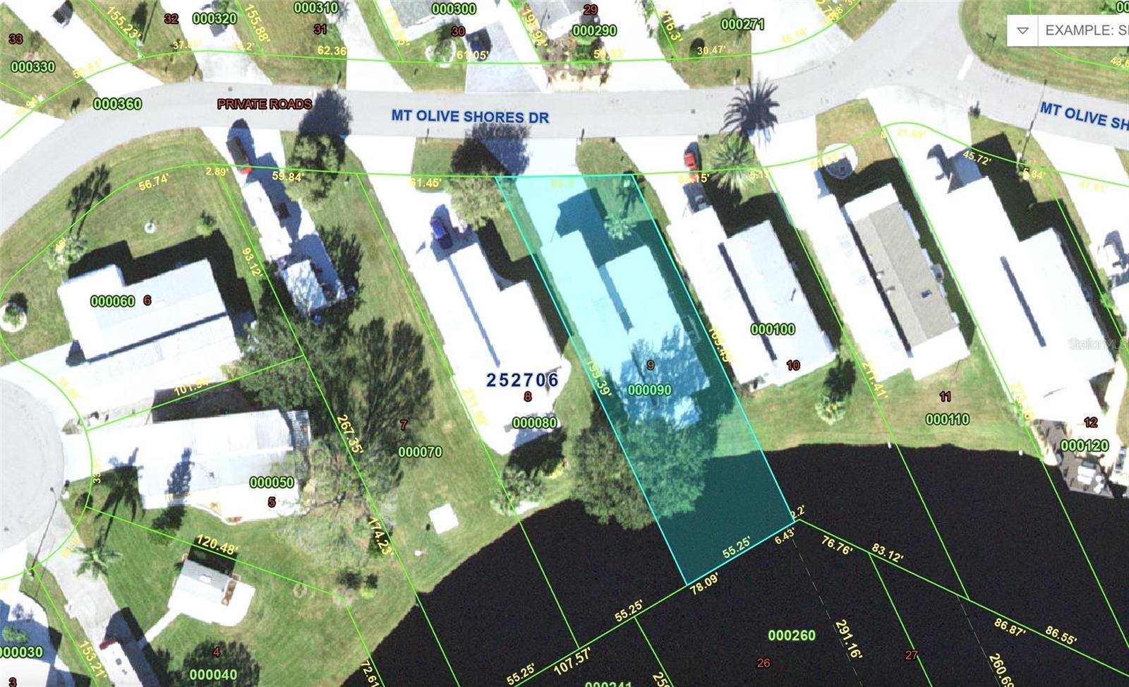 5001 MOUNT OLIVE SHORES DR