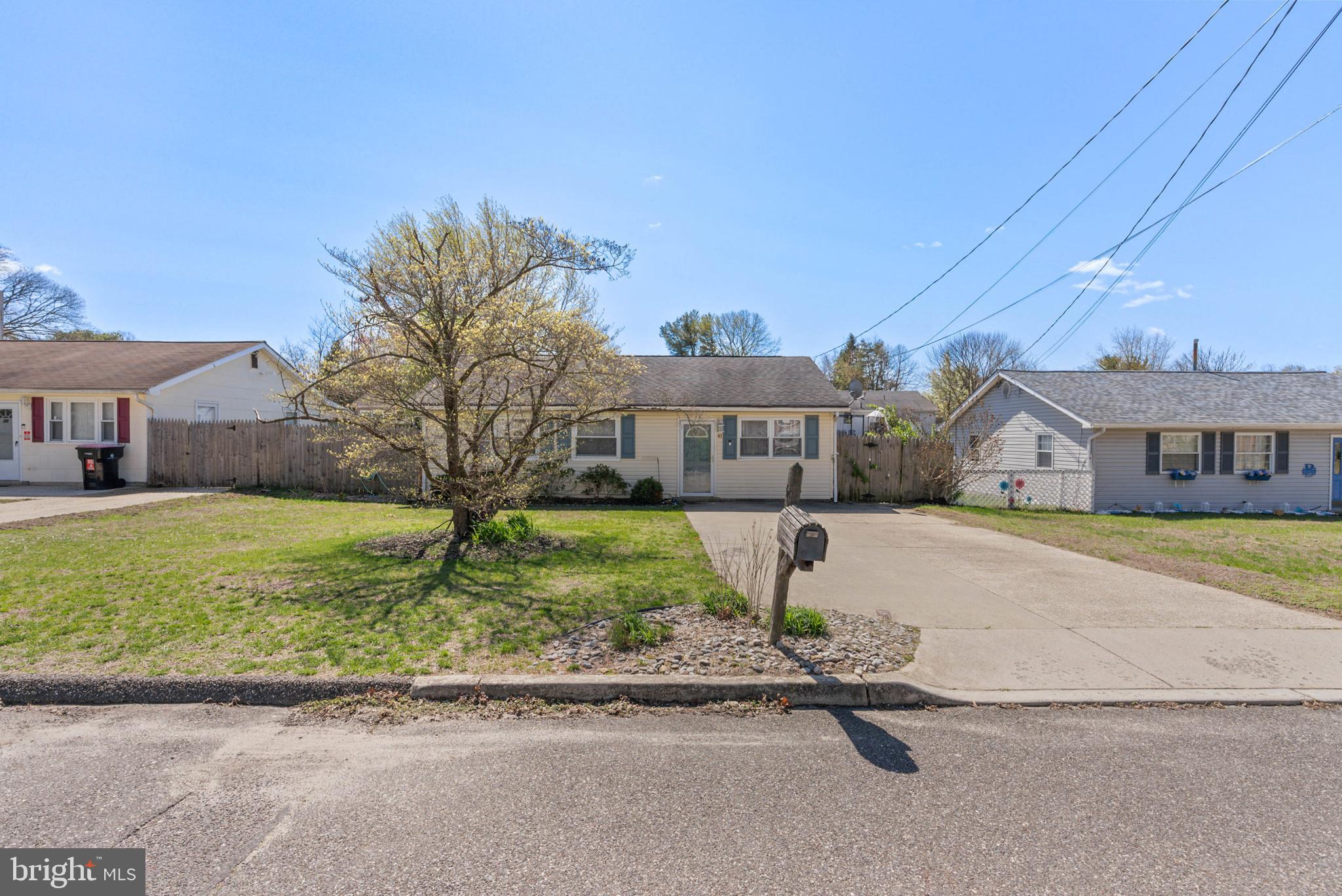41 Belleview Ave