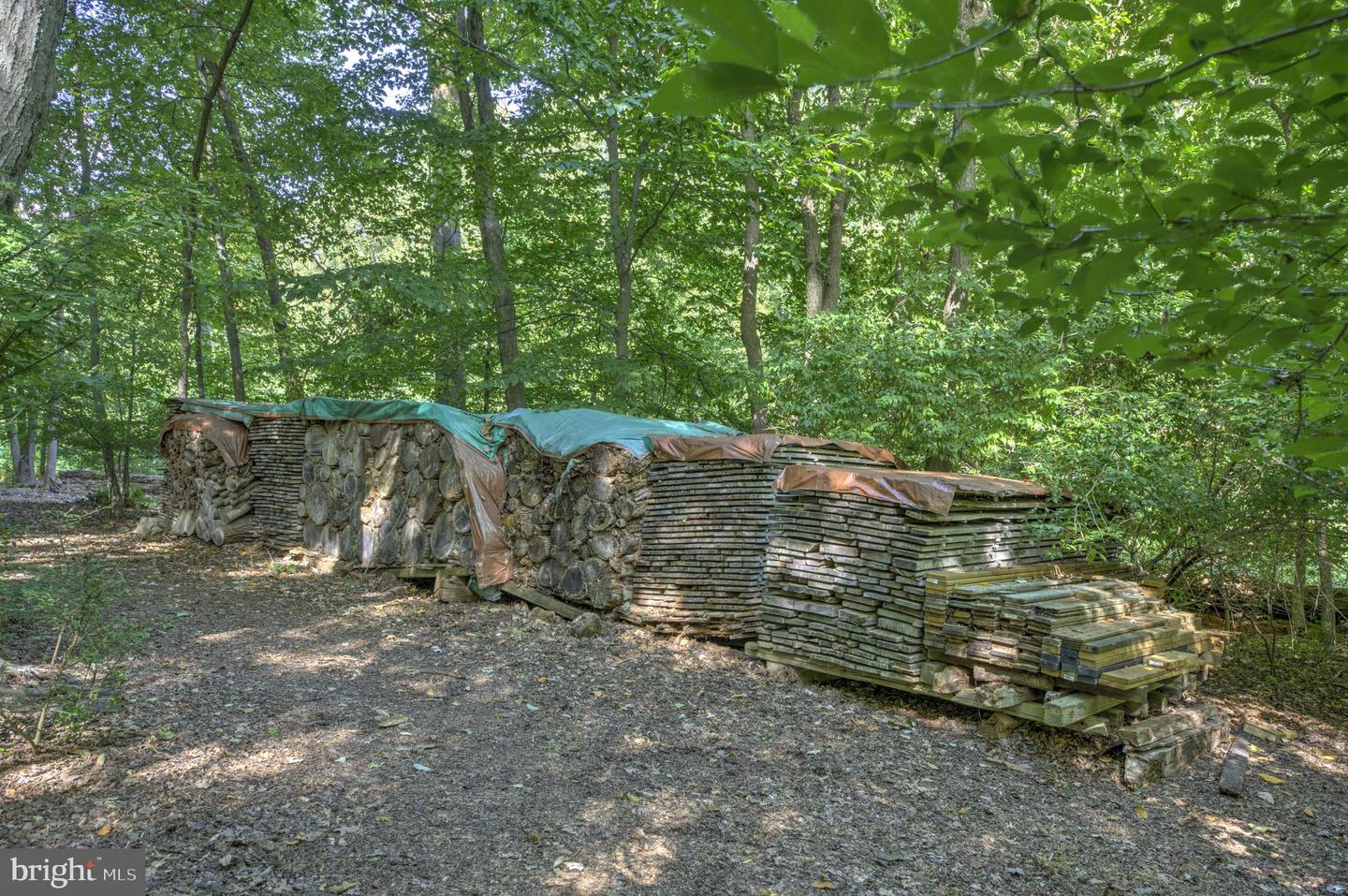 1515 Federal Dr