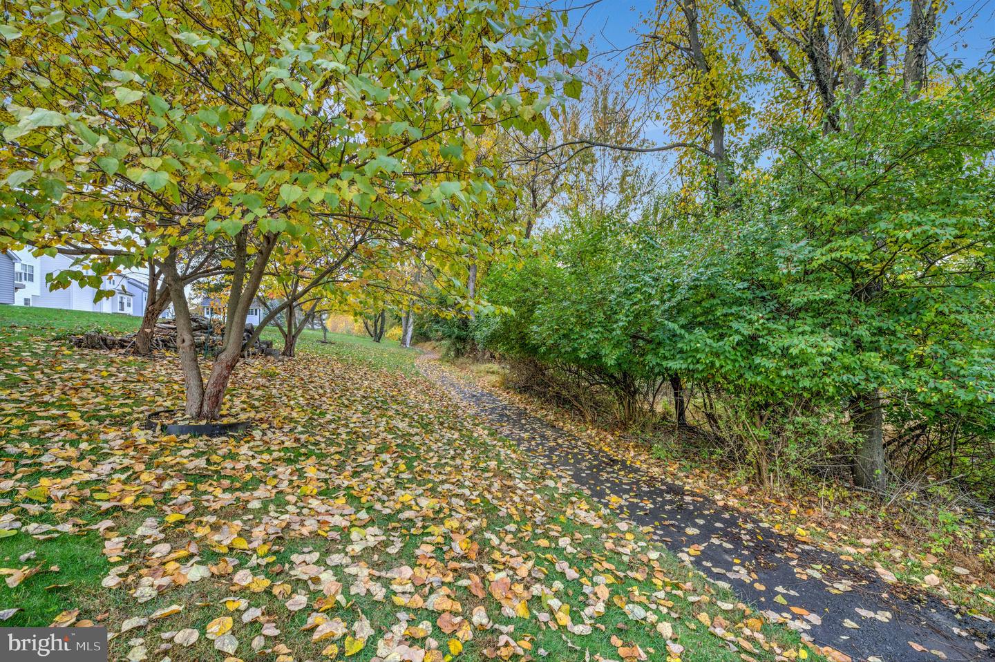 107 John Stevens Dr