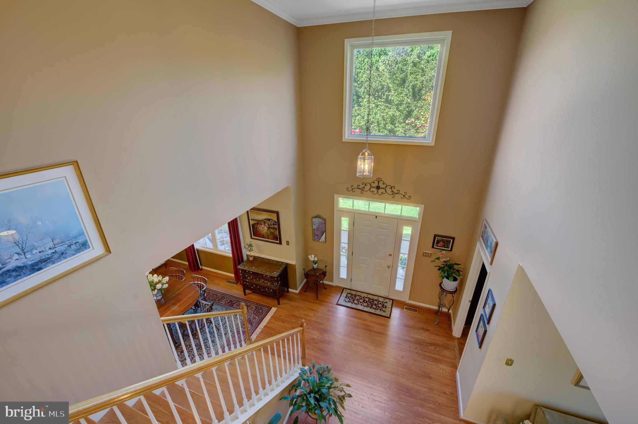 903 Livingston Dr