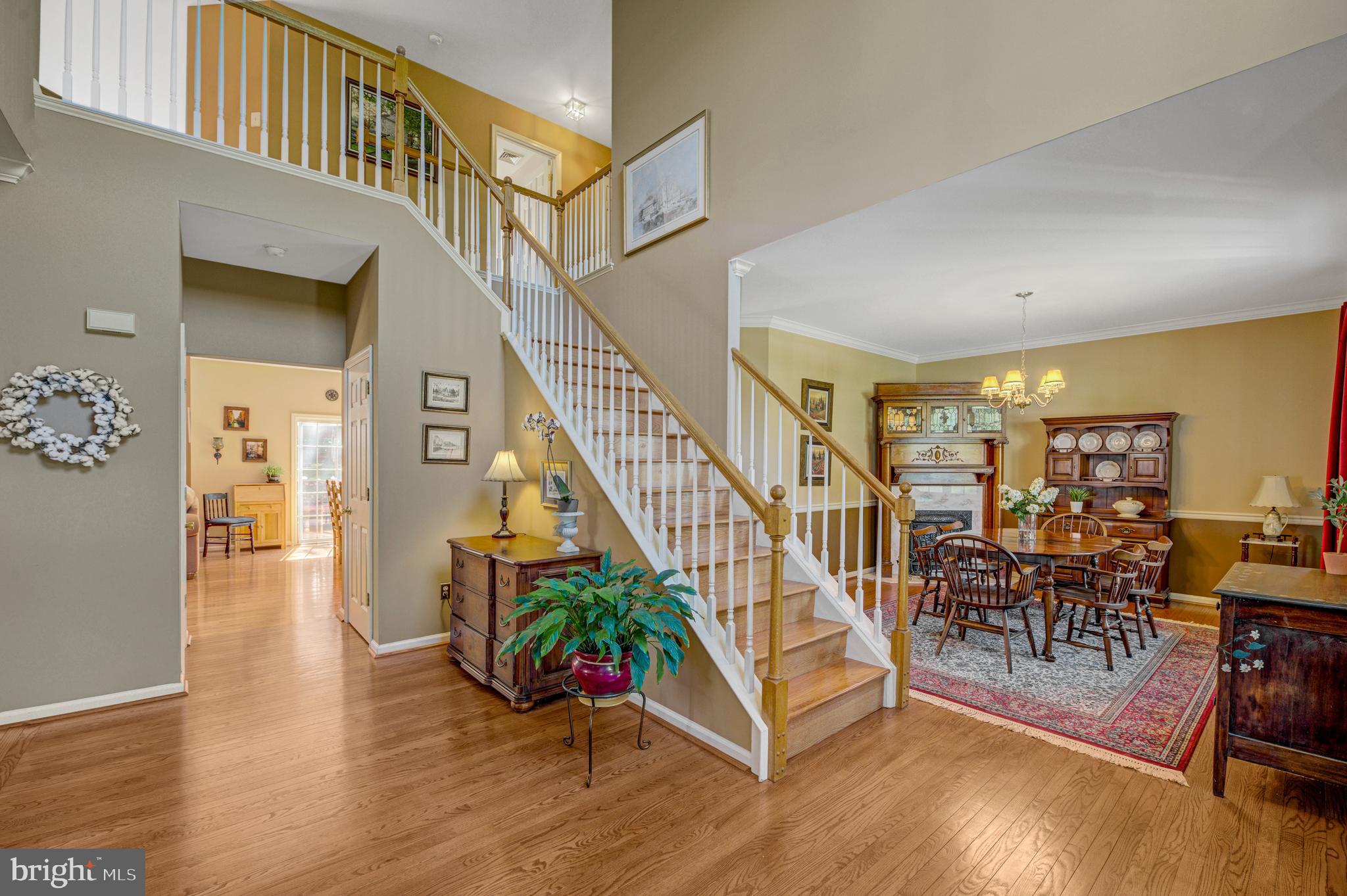 903 Livingston Dr