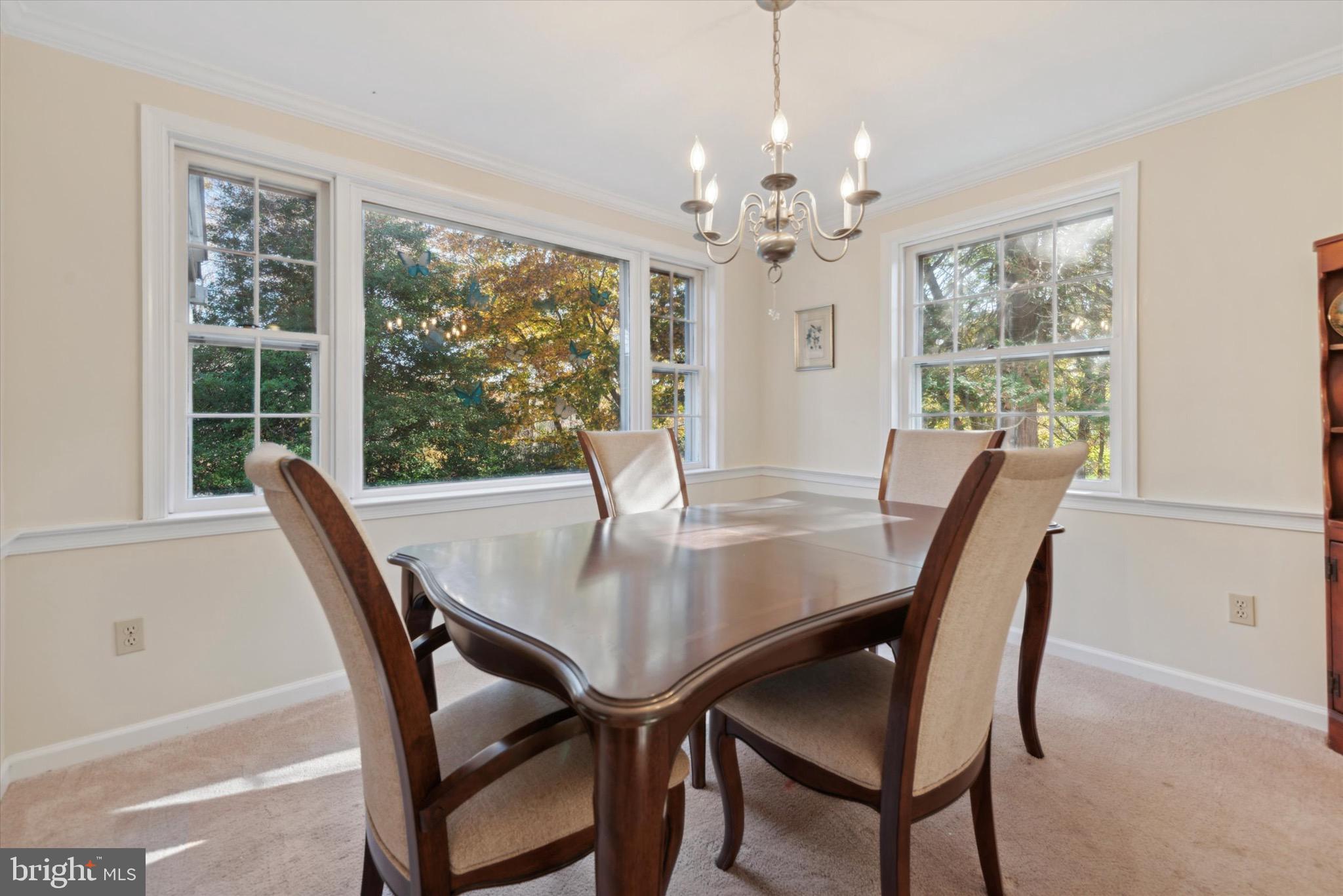 16 Manor Dr