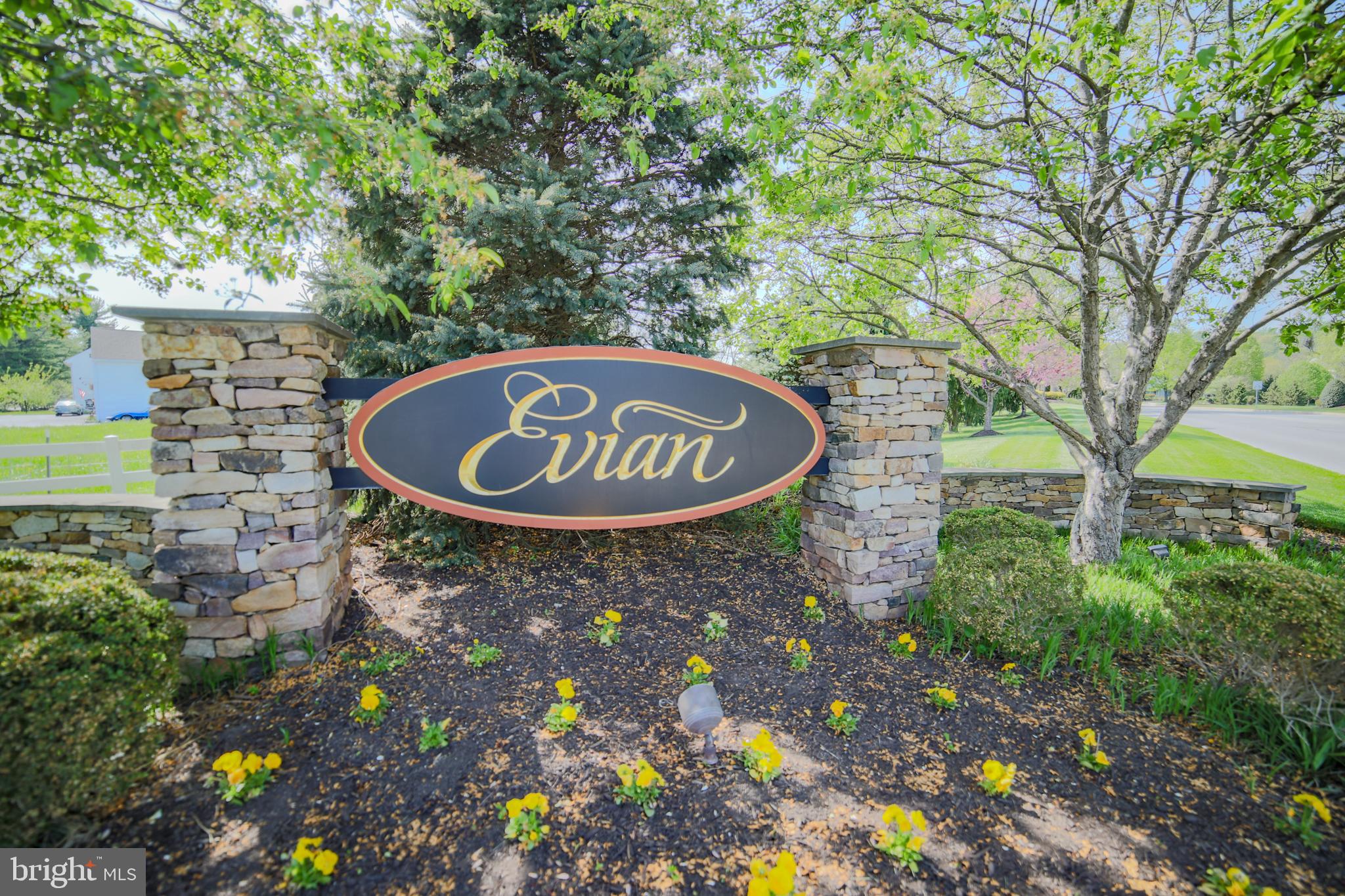 572 W Saxony Dr #572