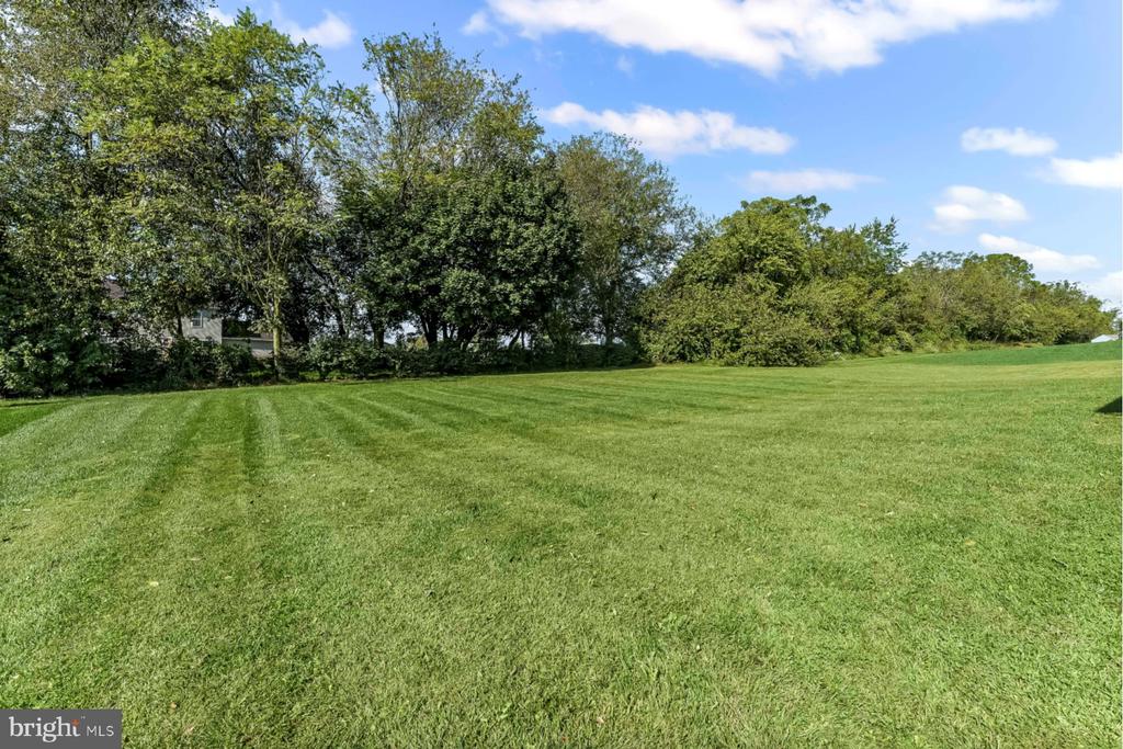 242 GREENWOOD DRIVE