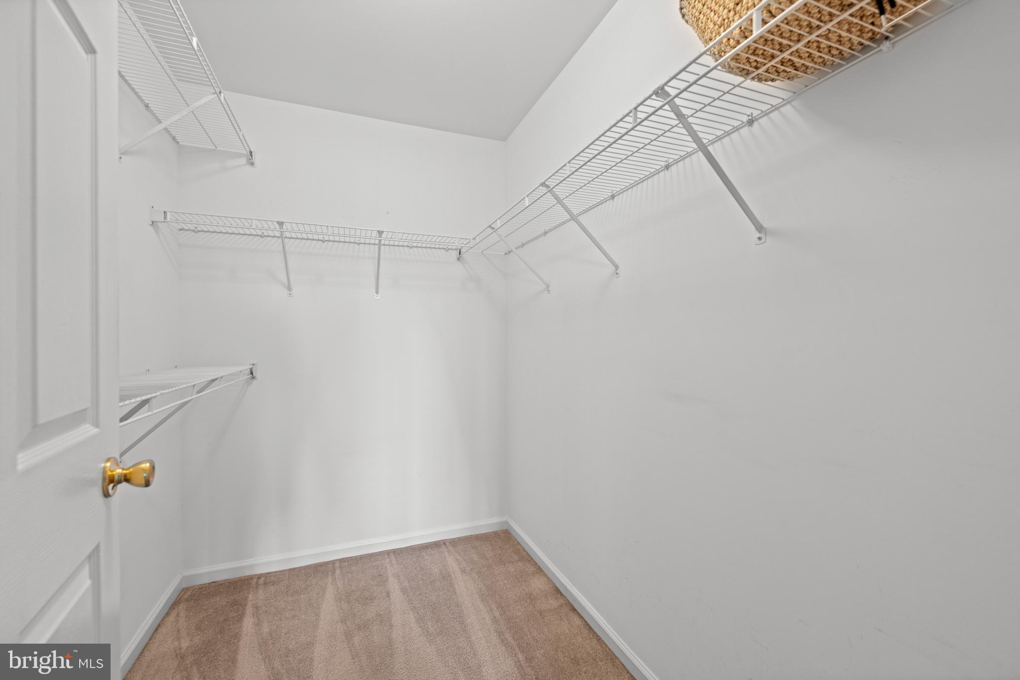 330 PAOLI POINTE DRIVE