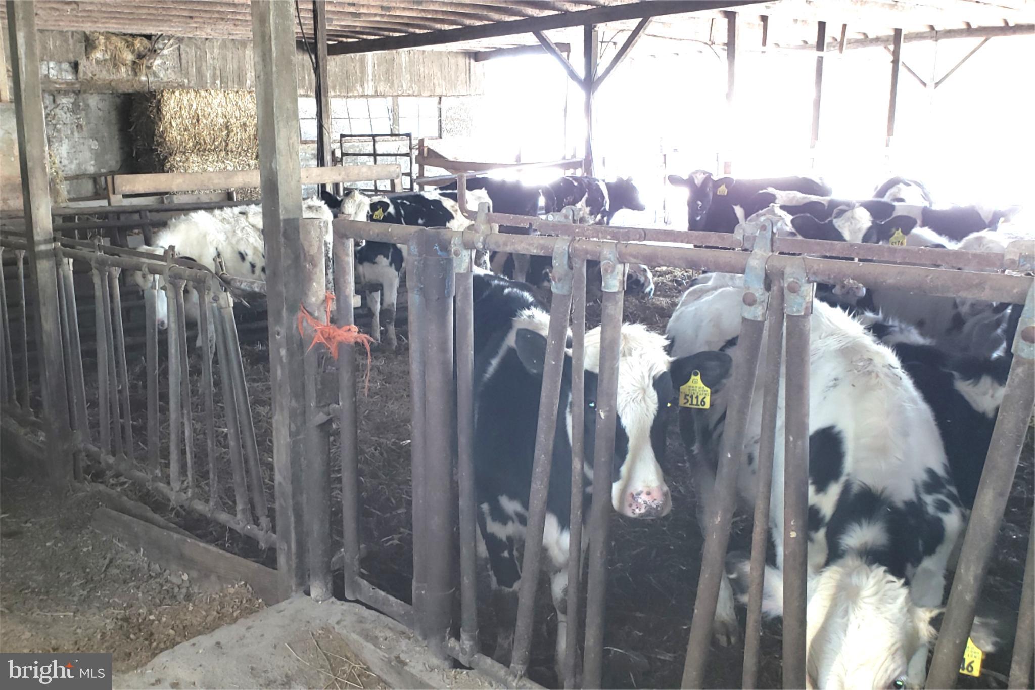 174 FERNWOOD RD ROAD