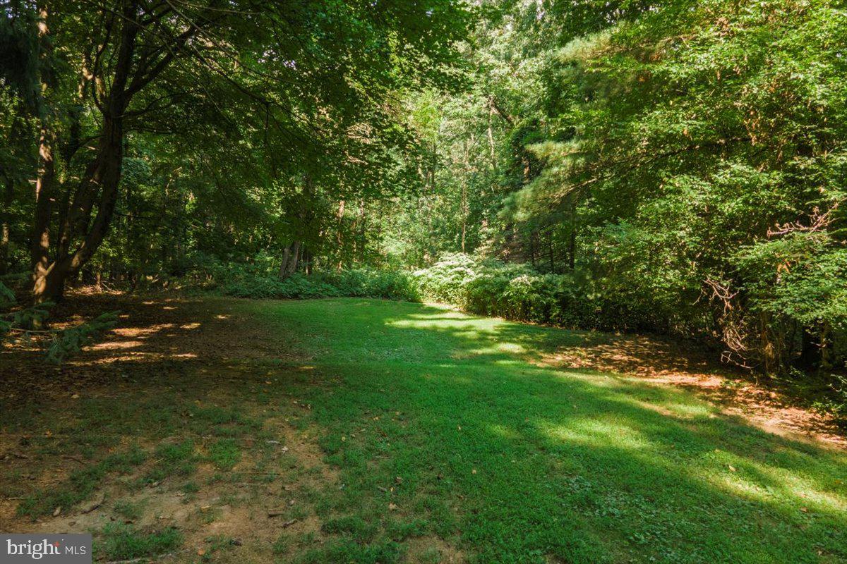 118 Hilldale Rd
