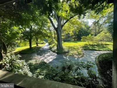 118 Hilldale Rd