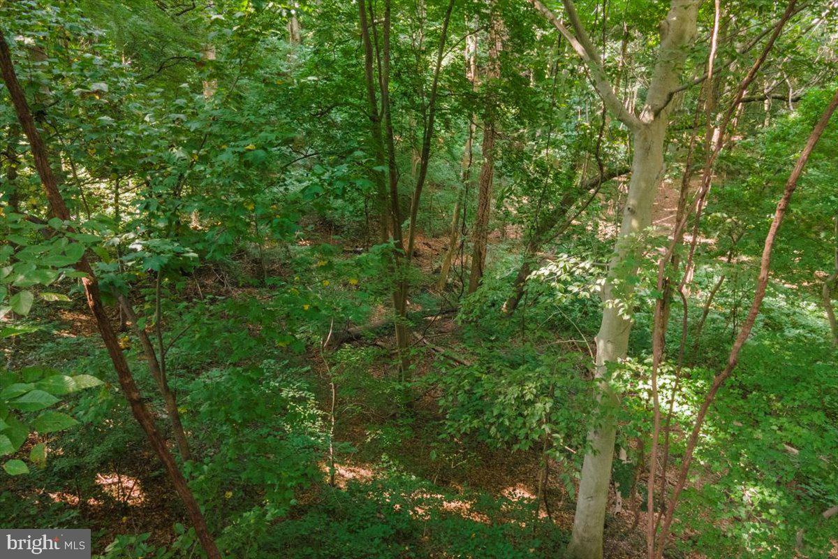 118 Hilldale Rd