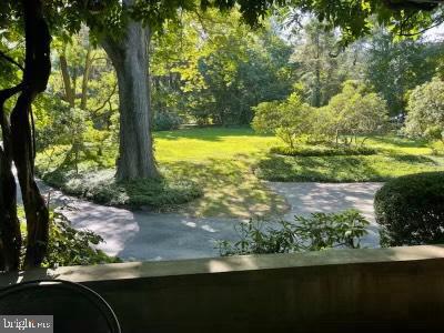 118 Hilldale Rd