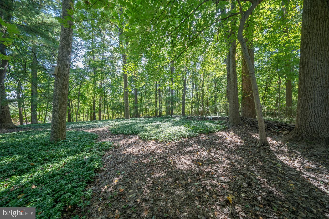 658 Lakeview Cir