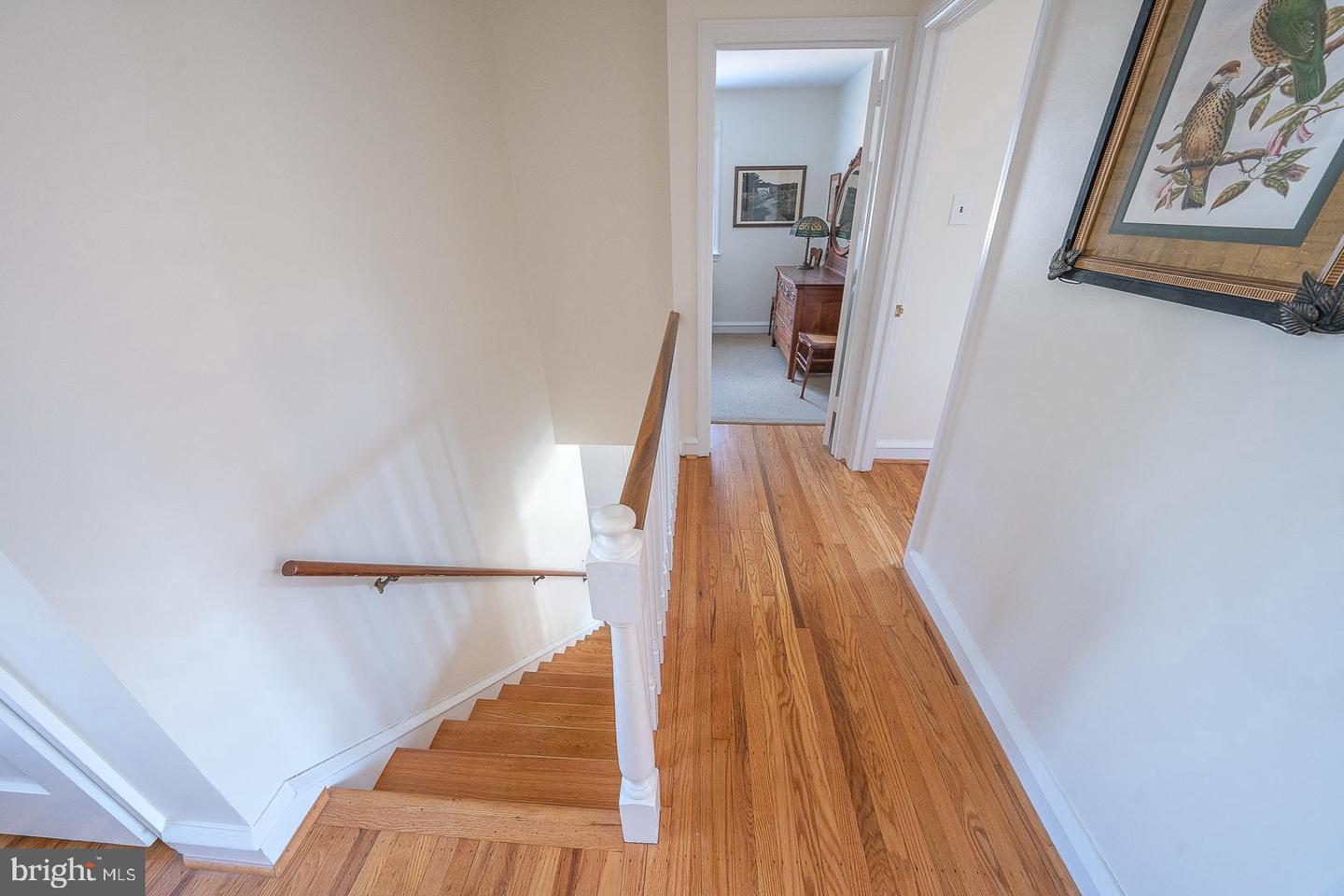 8 Beatrice Dr