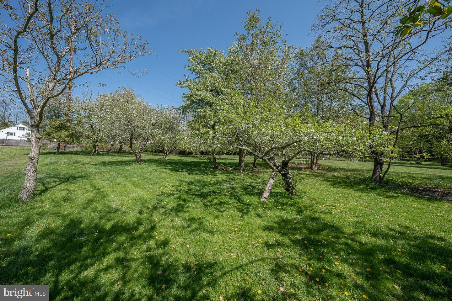 248 Lee Cir