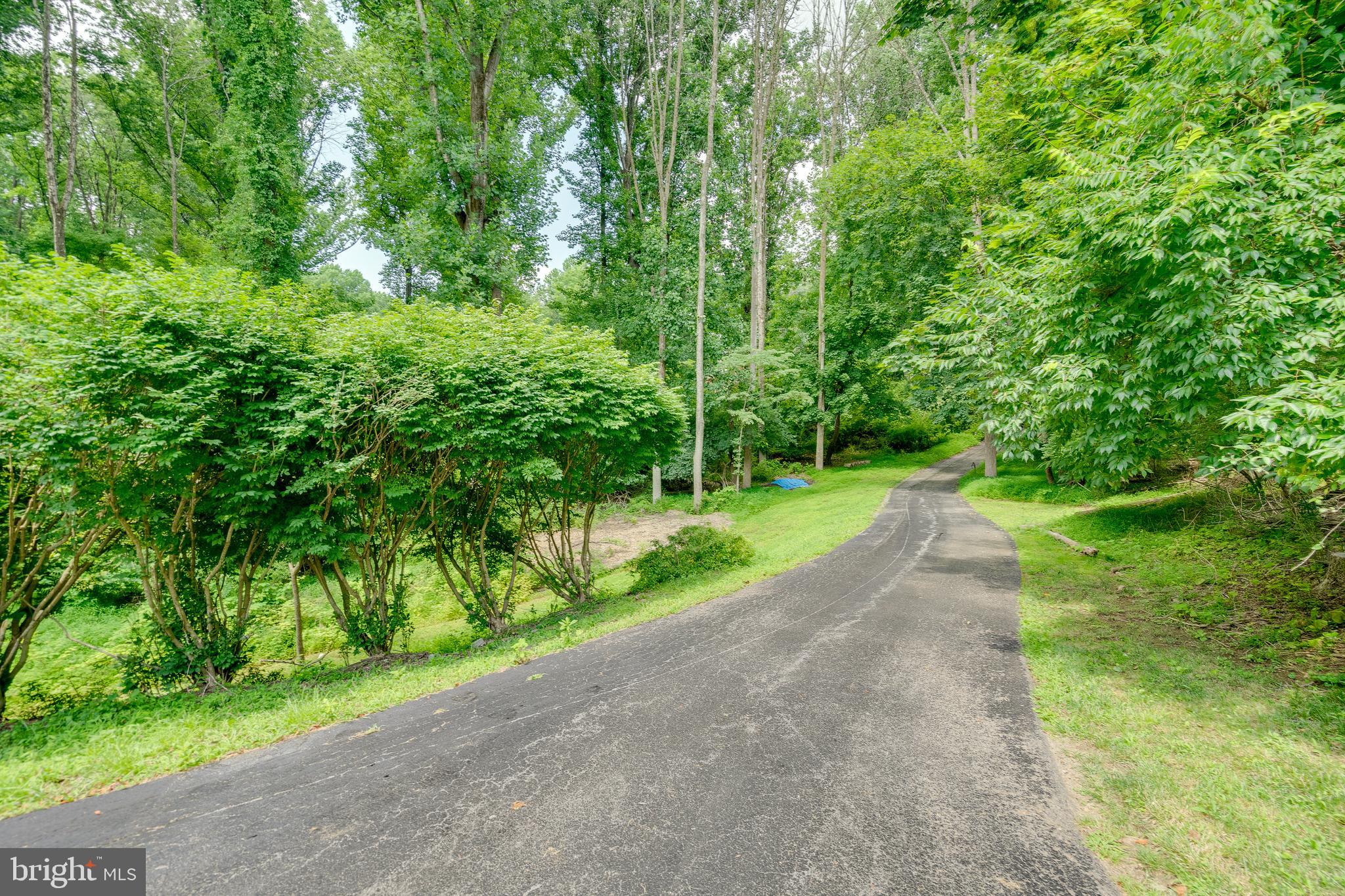 12 Ardmoor Ln