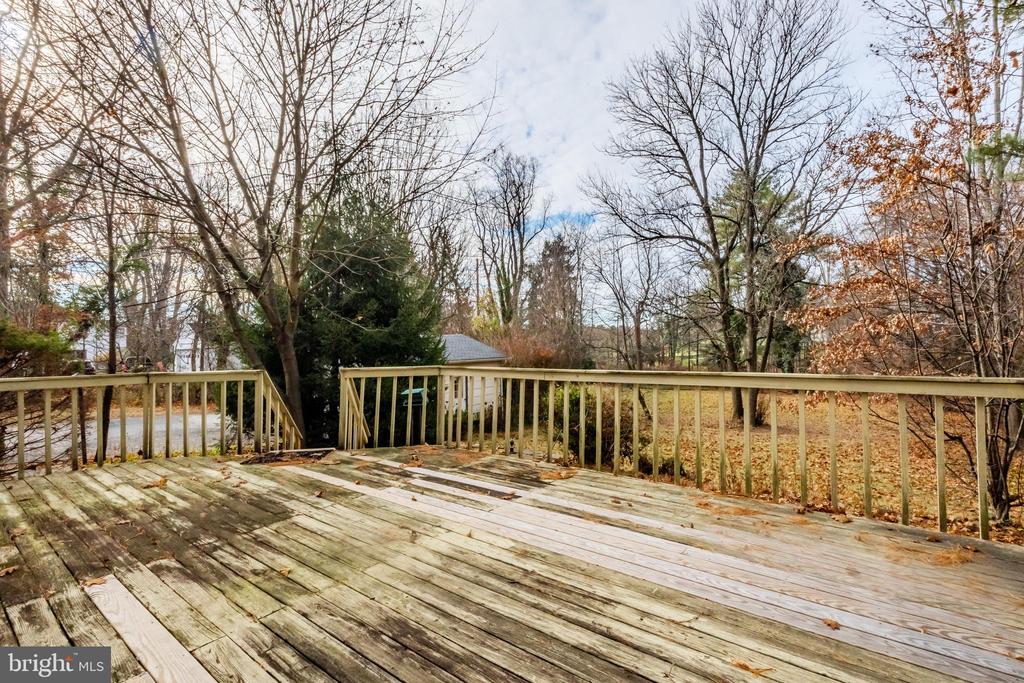 44 Haverford Rd