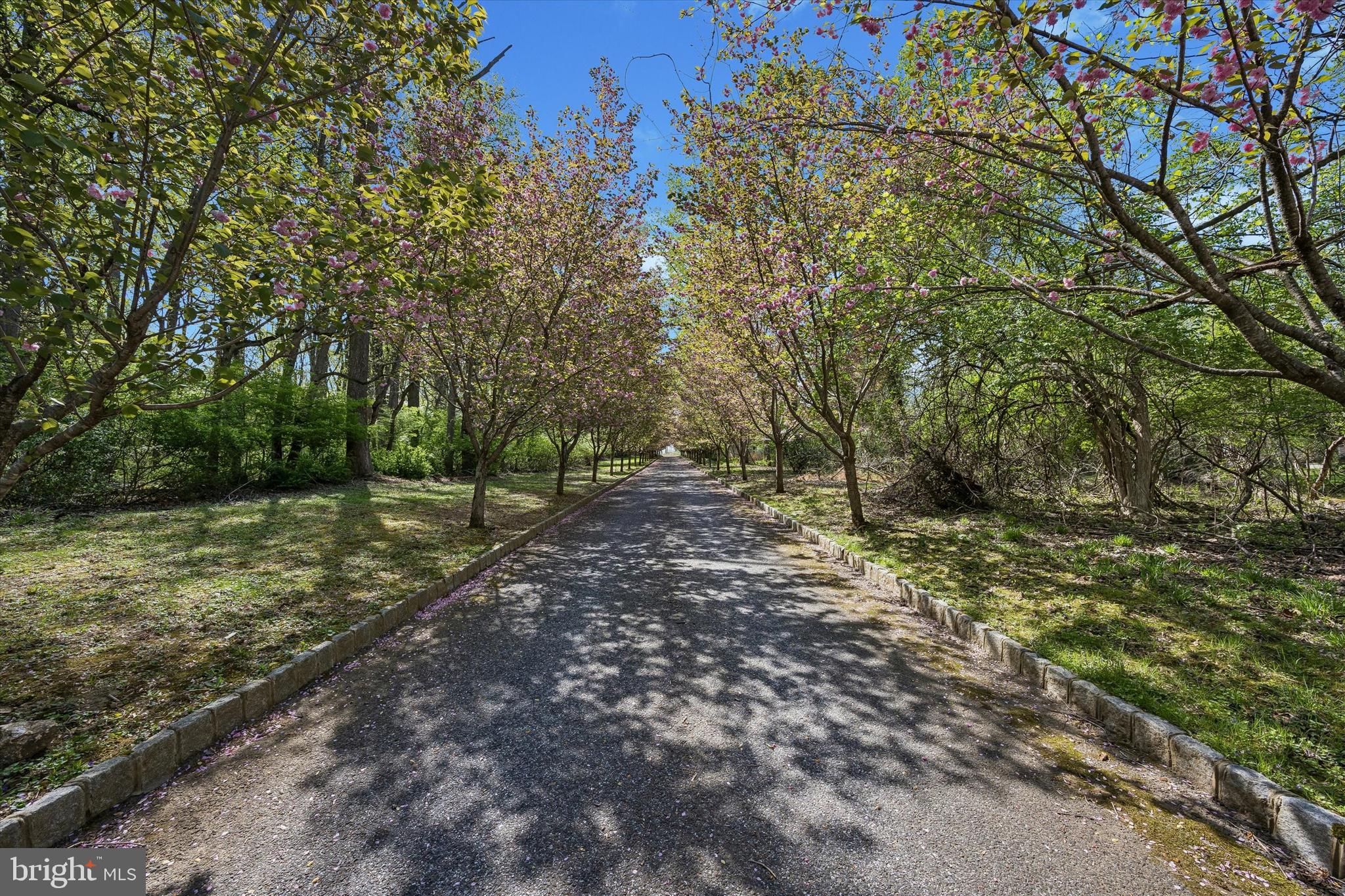 3882 GRADYVILLE ROAD