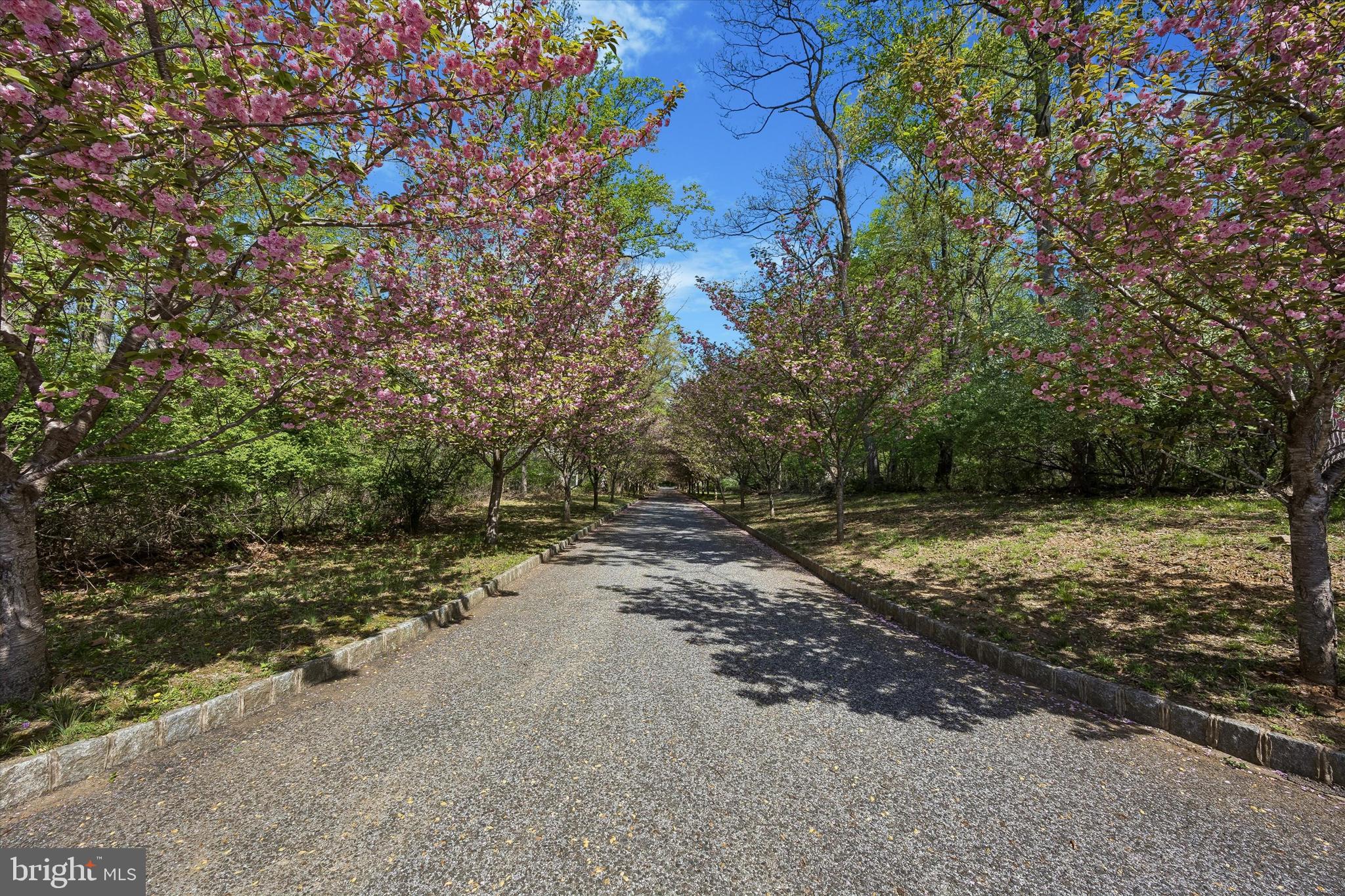 3882 GRADYVILLE ROAD